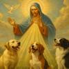 Preghiera allo Spirito Santo per la Fedeltà dei Cani