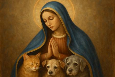 Preghiera alla Madonna per la Protezione degli Animali da compagnia anziani