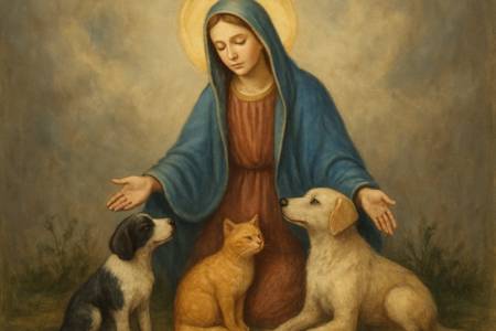 Preghiera alla Madonna per la cura degli Animali abbandonati