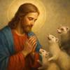 Preghiera a Gesù Cristo per la Felicità quotidiana dei Furetti