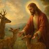 Preghiera a Gesù Cristo per la Protezione dei Caprioli