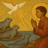 Preghiera allo Spirito Santo per la Responsabilità verso le Foche