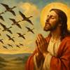 Preghiera a Gesù Cristo per la Fiducia degli Uccelli migratori