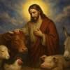 Preghiera a Gesù Cristo per la Giustizia negli Allevamenti