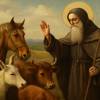 Benedizione degli Animali da lavoro con Sant'Antonio Abate