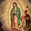 Supplica alla Madonna di Guadalupe con San Juan Diego per i Laici evangelizzatori
