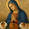 Preghiera alla Madonna per la cura dei Porcellini d'India