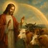 Preghiera a Gesù Cristo Buon Pastore per le Mucche